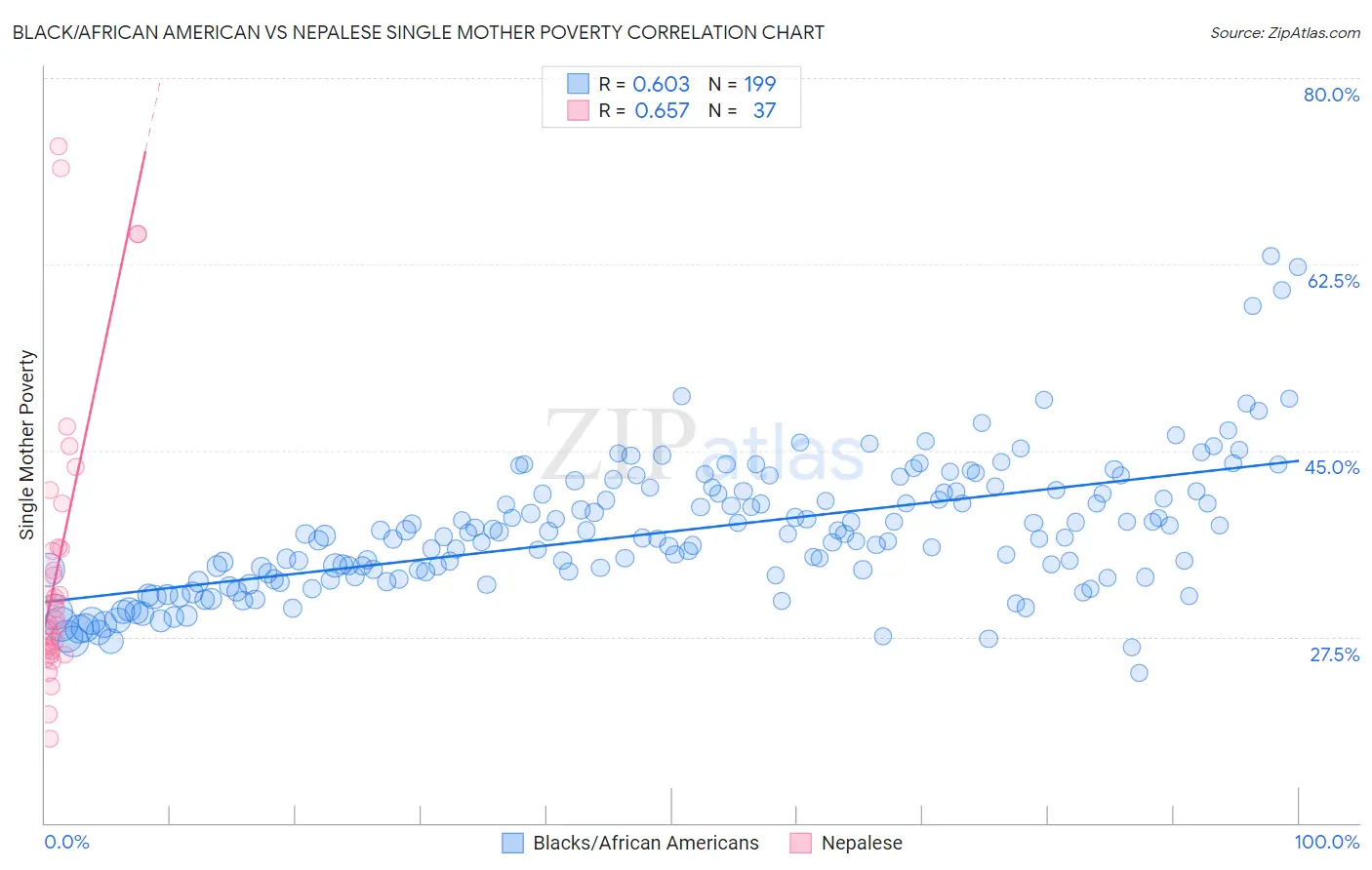 Black/African American vs Nepalese Single Mother Poverty