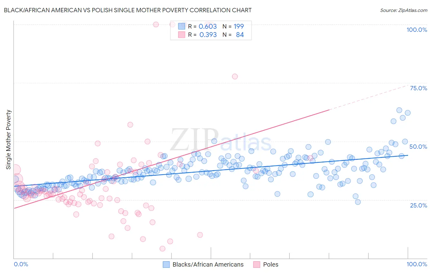 Black/African American vs Polish Single Mother Poverty