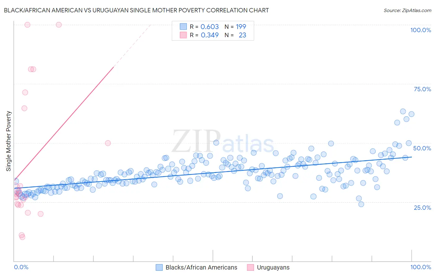 Black/African American vs Uruguayan Single Mother Poverty