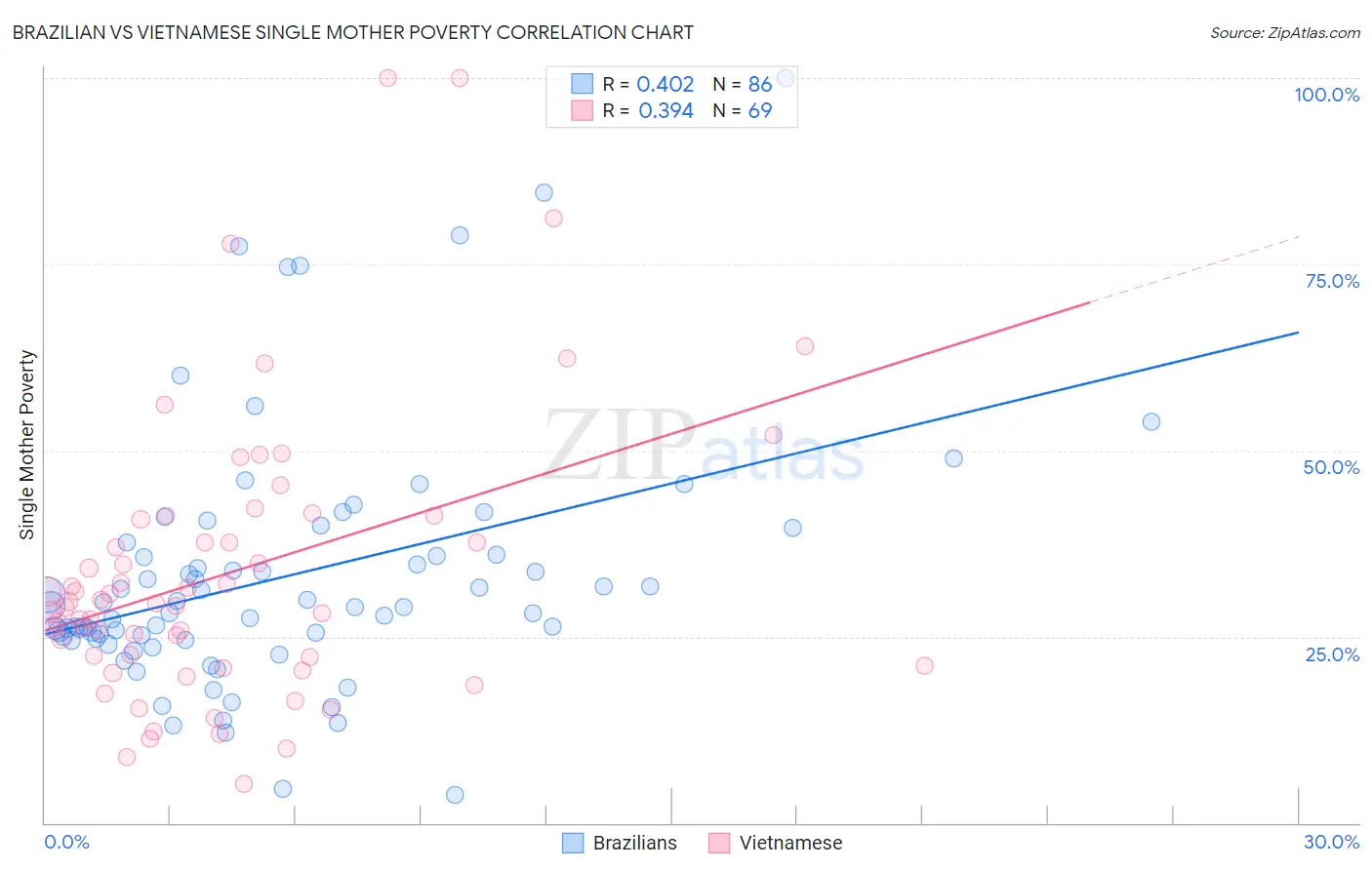 Brazilian vs Vietnamese Single Mother Poverty