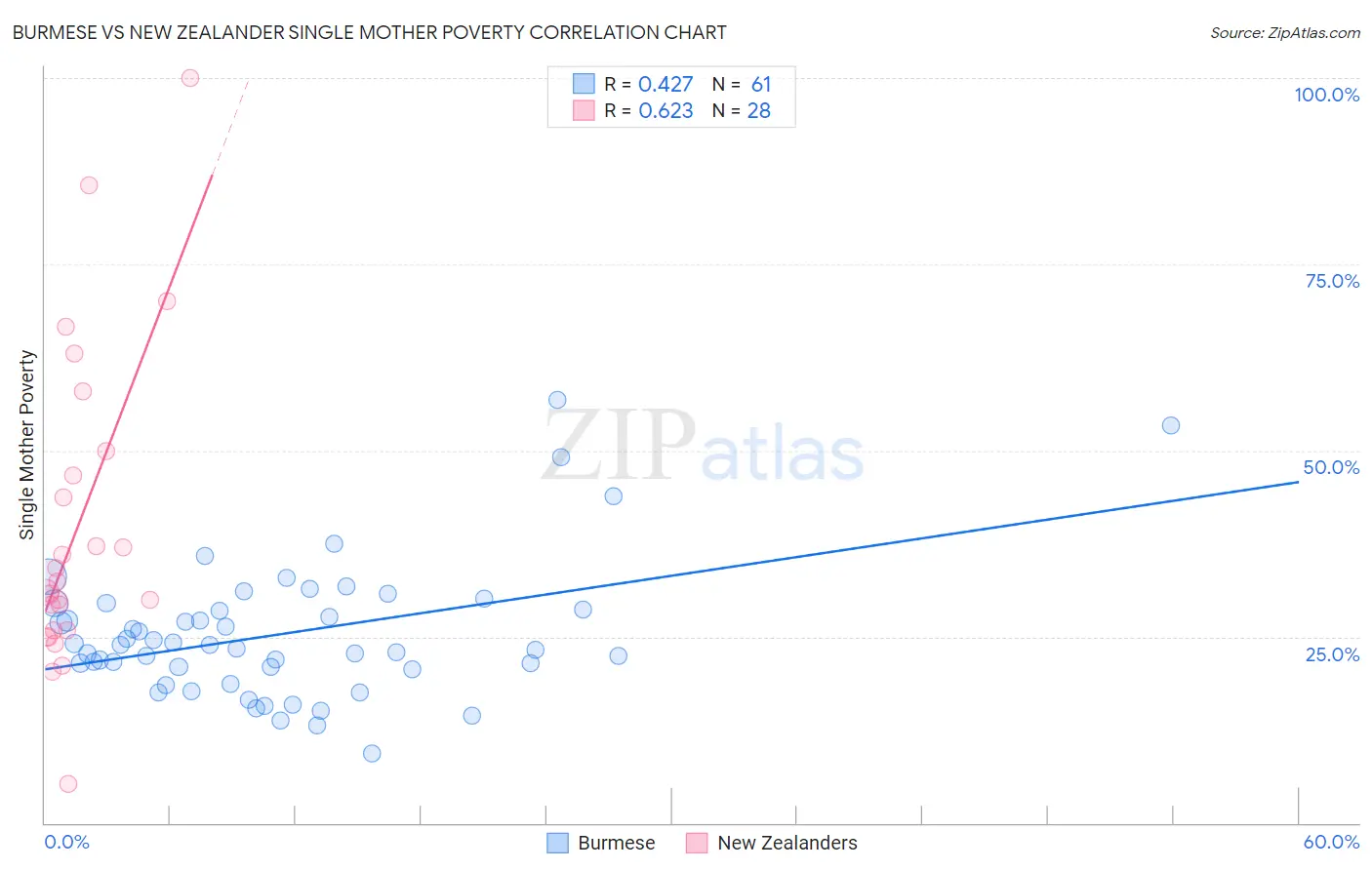 Burmese vs New Zealander Single Mother Poverty