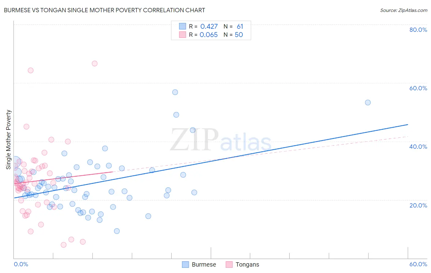 Burmese vs Tongan Single Mother Poverty