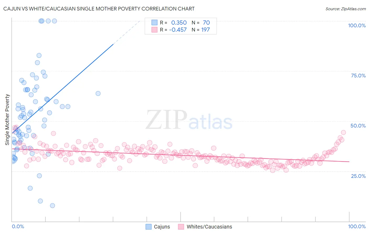 Cajun vs White/Caucasian Single Mother Poverty