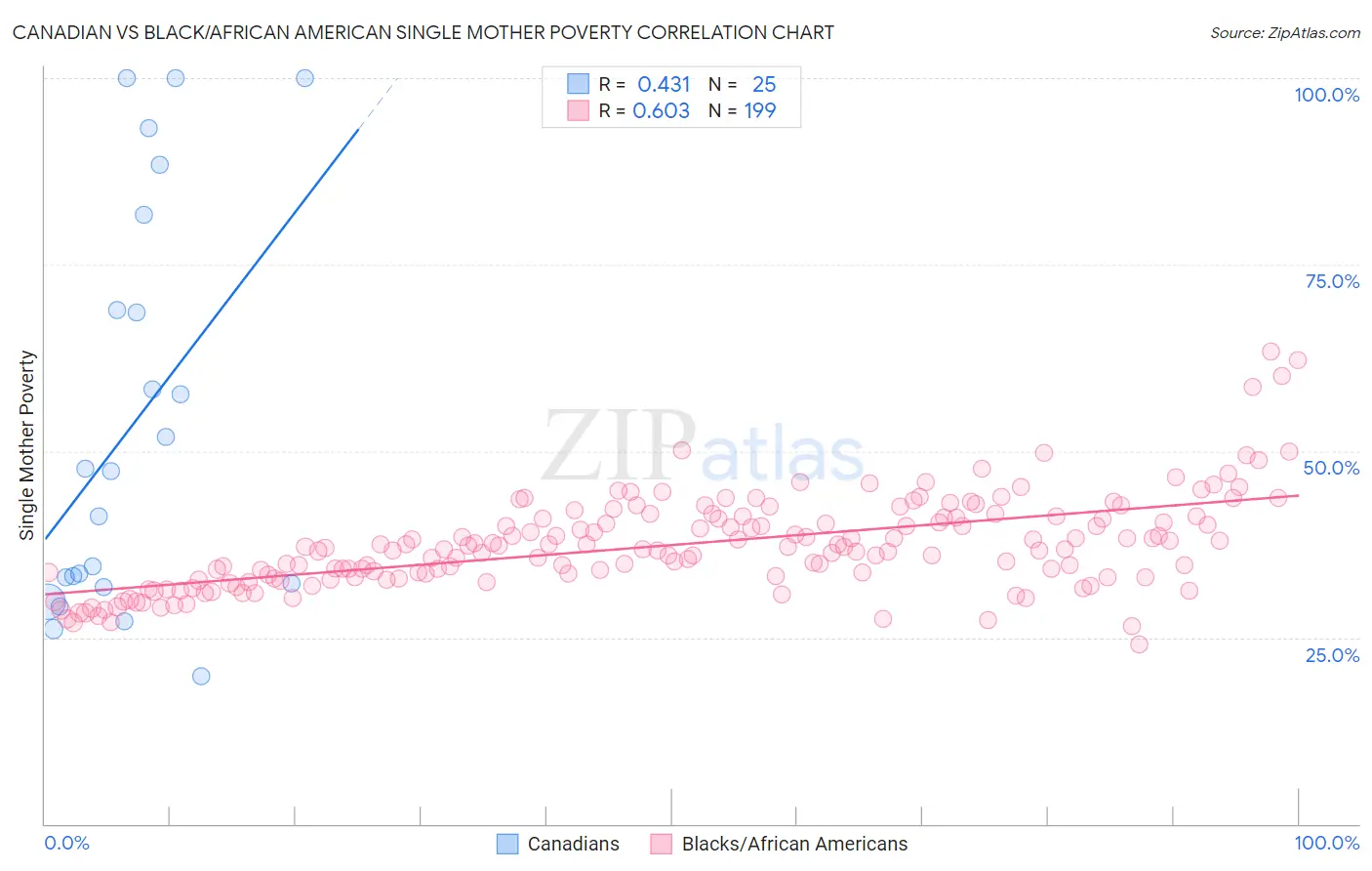 Canadian vs Black/African American Single Mother Poverty