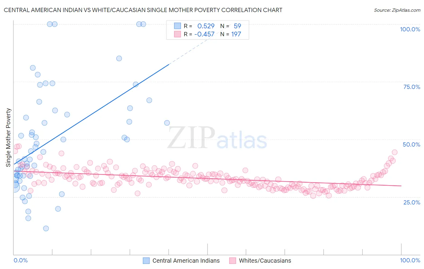 Central American Indian vs White/Caucasian Single Mother Poverty