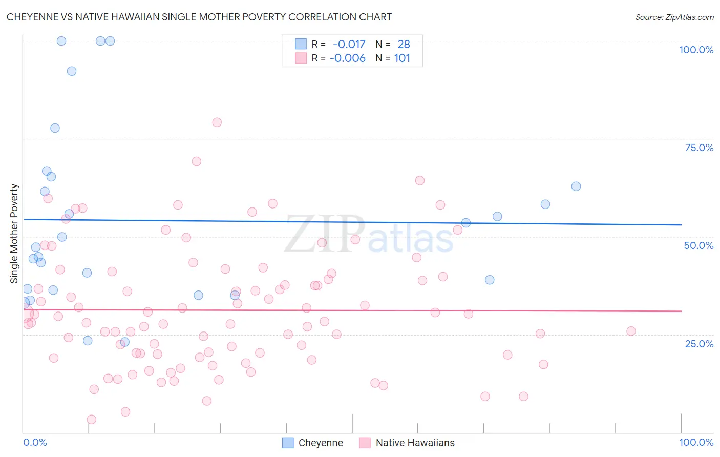 Cheyenne vs Native Hawaiian Single Mother Poverty