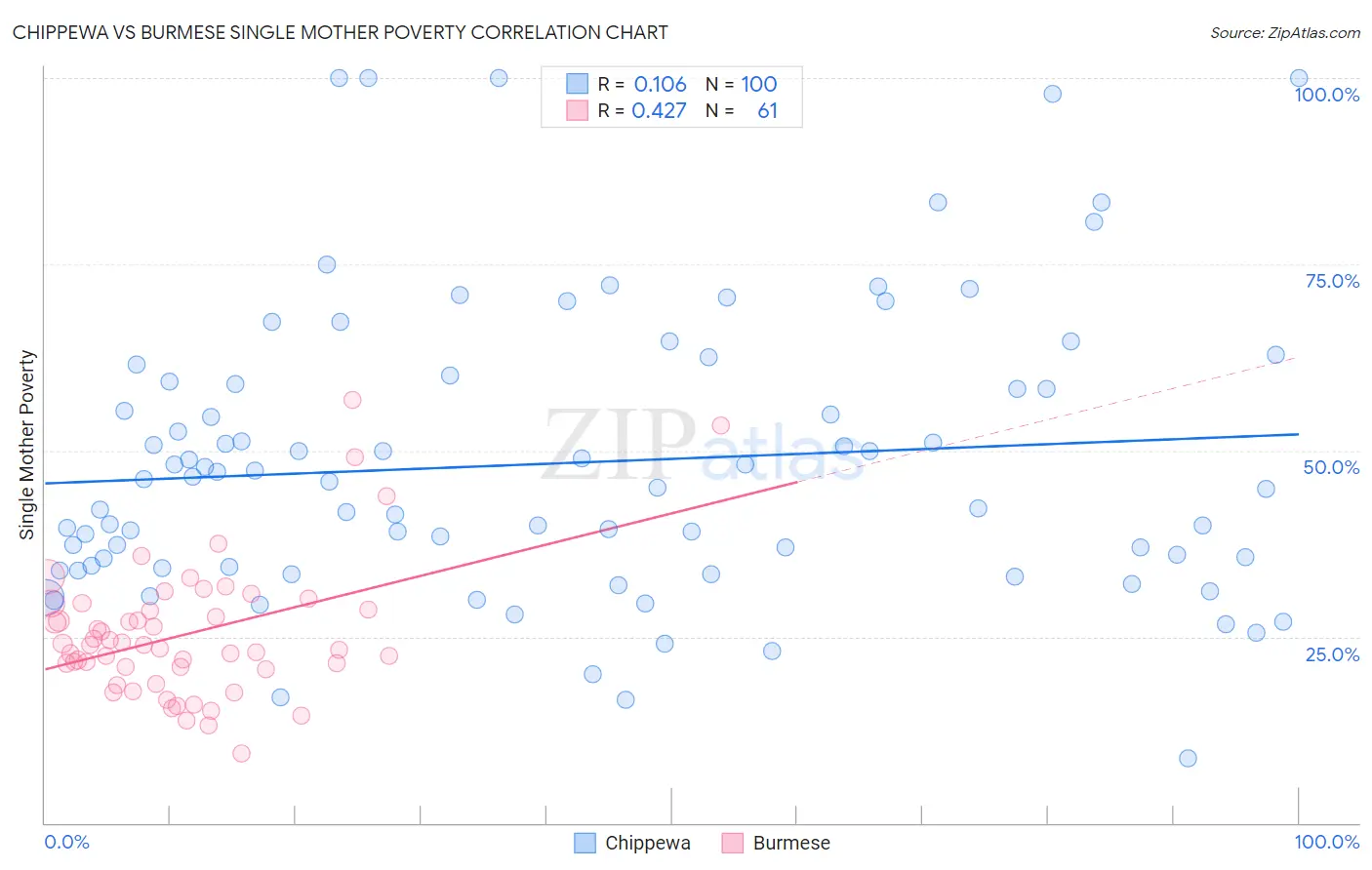 Chippewa vs Burmese Single Mother Poverty