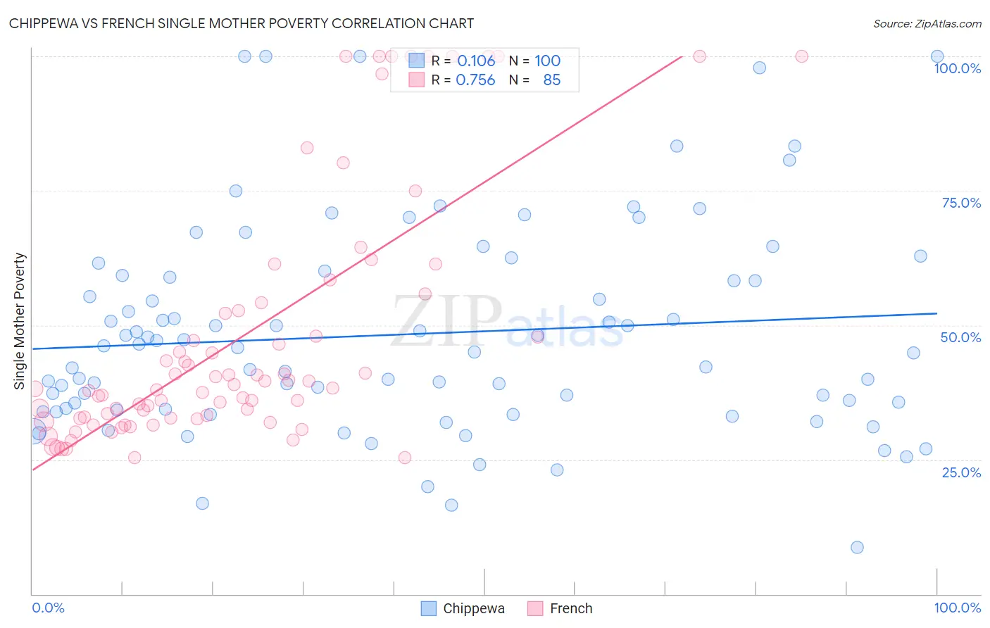 Chippewa vs French Single Mother Poverty