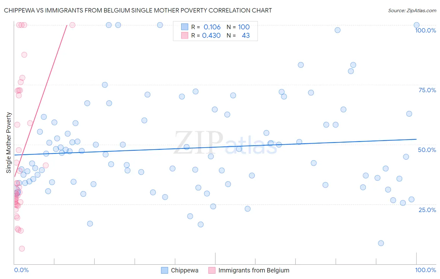 Chippewa vs Immigrants from Belgium Single Mother Poverty