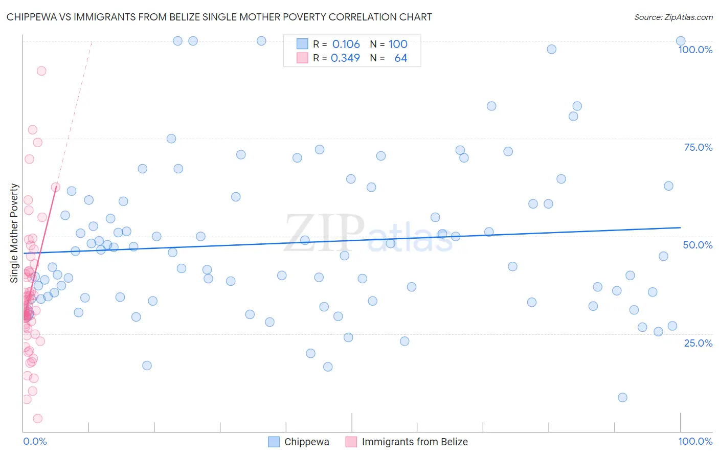 Chippewa vs Immigrants from Belize Single Mother Poverty