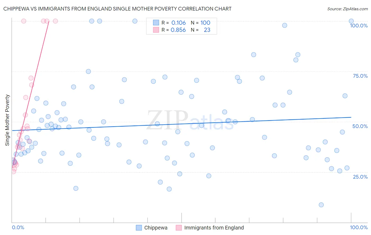 Chippewa vs Immigrants from England Single Mother Poverty