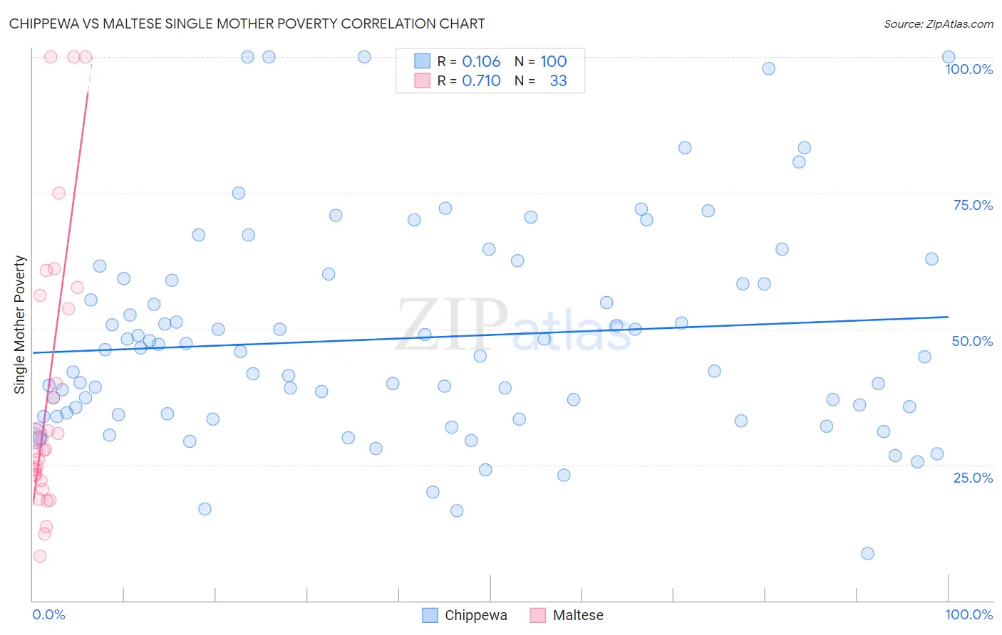 Chippewa vs Maltese Single Mother Poverty