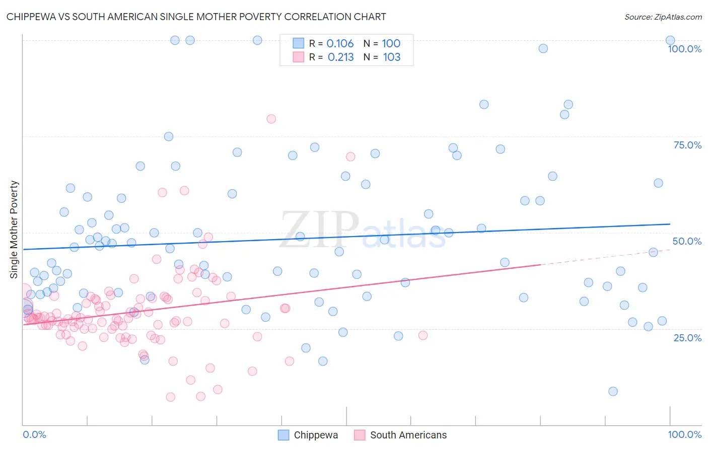 Chippewa vs South American Single Mother Poverty