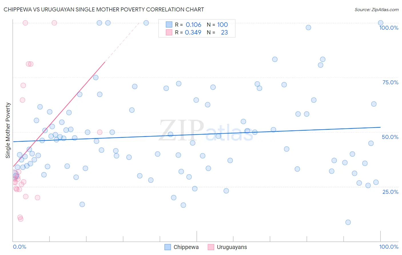 Chippewa vs Uruguayan Single Mother Poverty