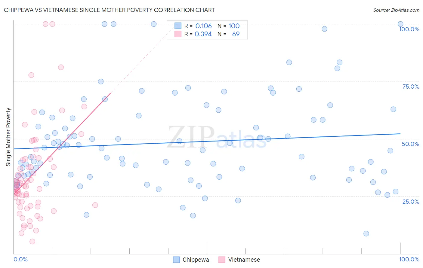 Chippewa vs Vietnamese Single Mother Poverty