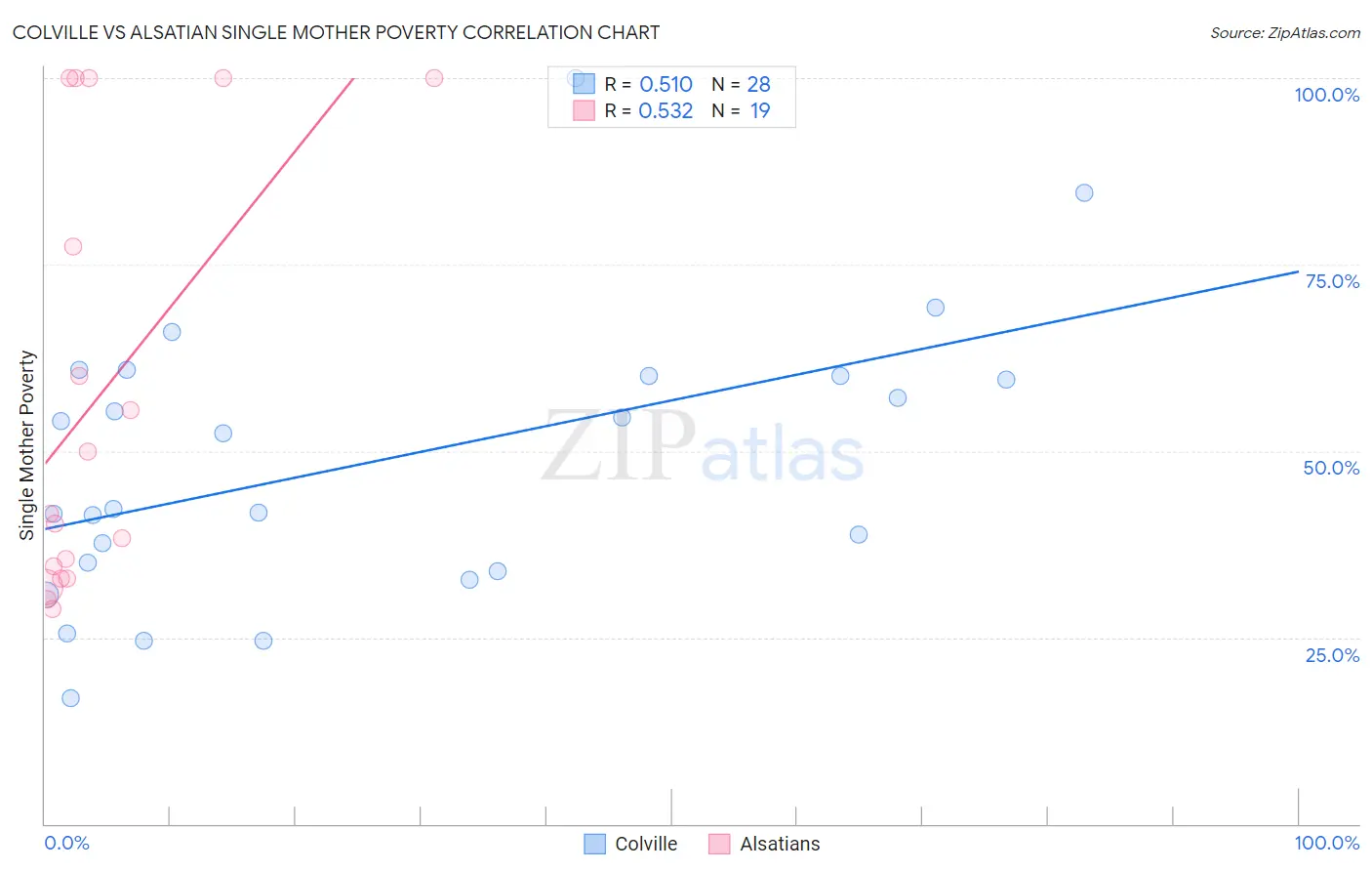 Colville vs Alsatian Single Mother Poverty