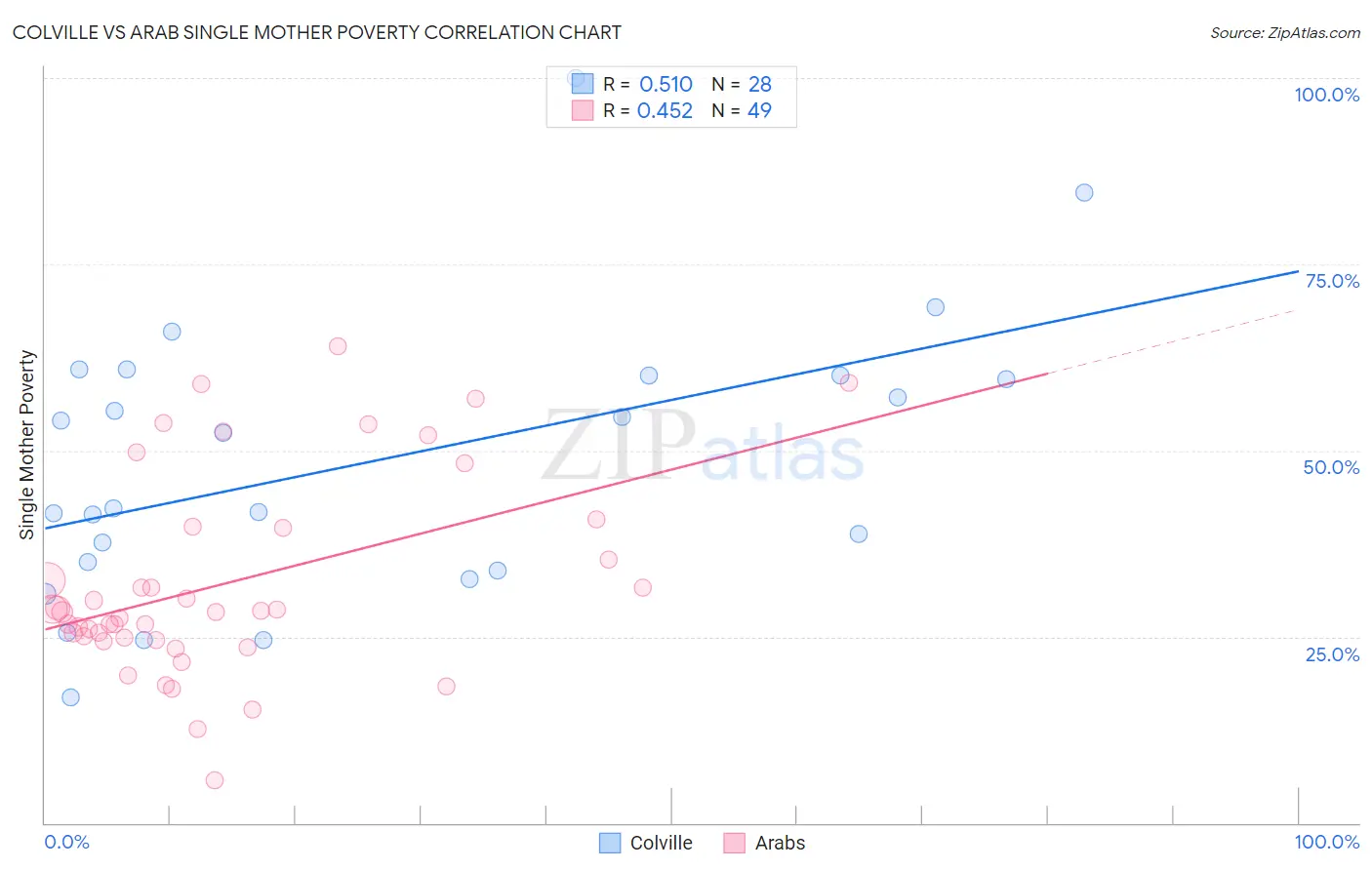 Colville vs Arab Single Mother Poverty