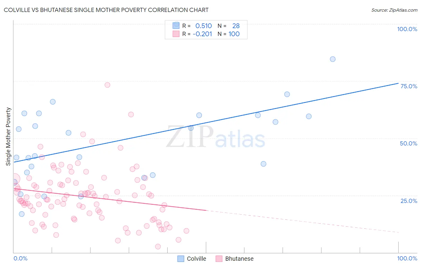 Colville vs Bhutanese Single Mother Poverty