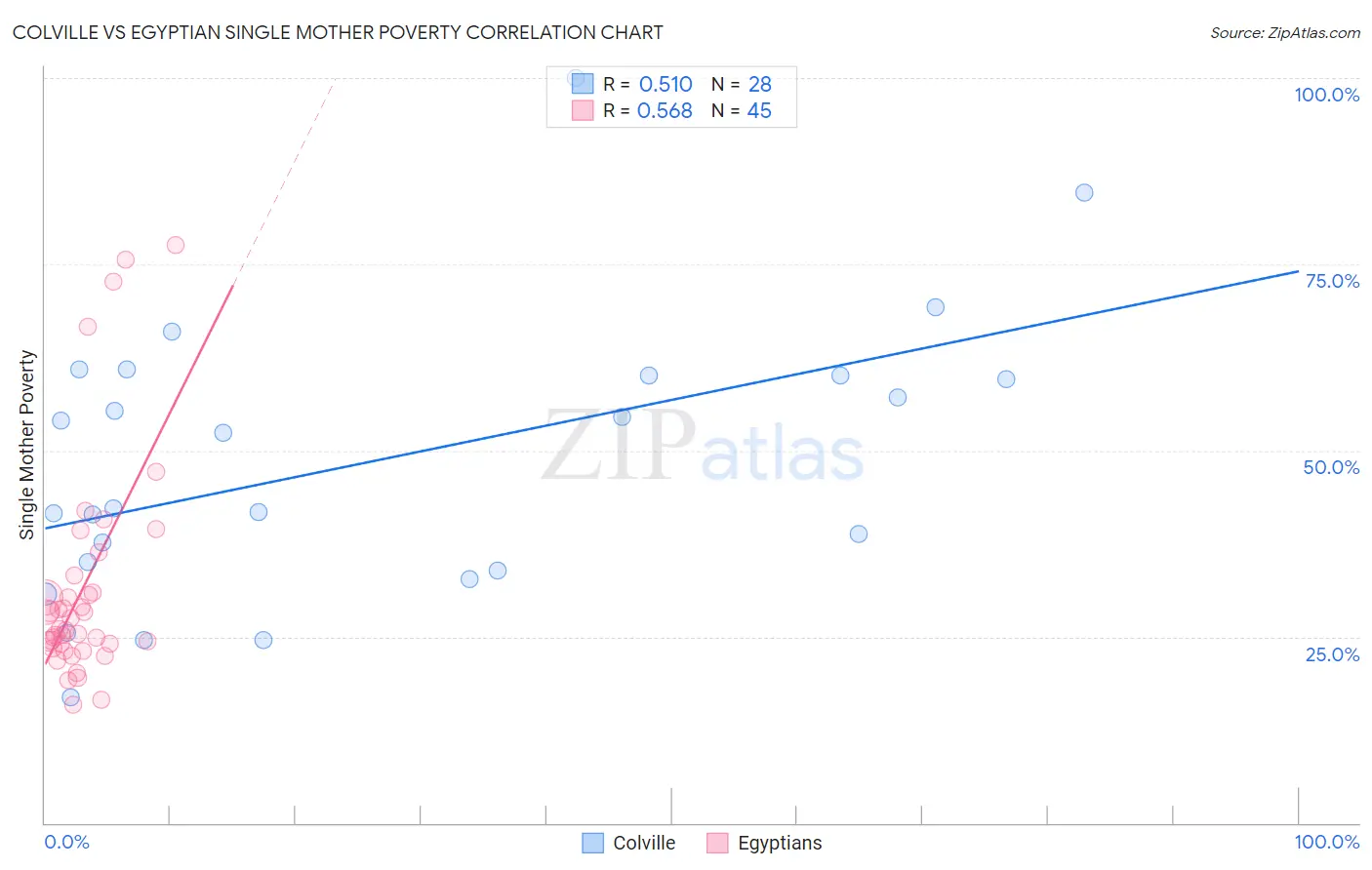 Colville vs Egyptian Single Mother Poverty