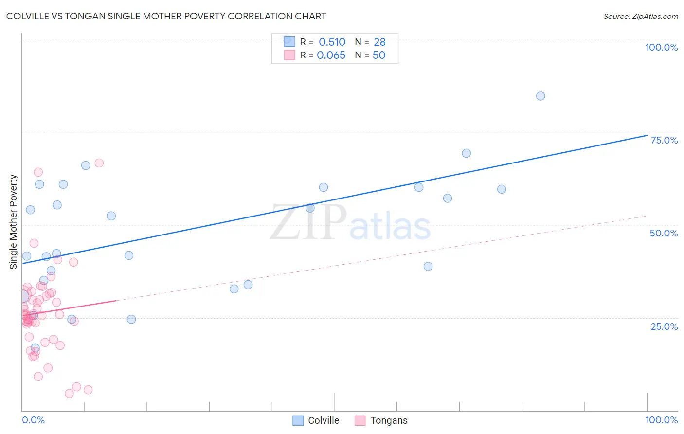 Colville vs Tongan Single Mother Poverty