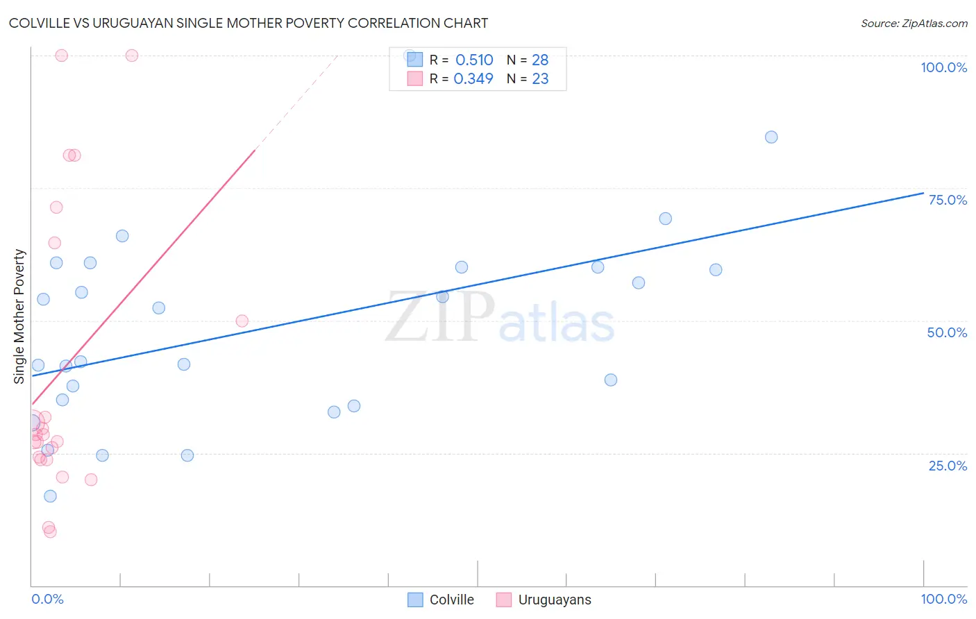 Colville vs Uruguayan Single Mother Poverty