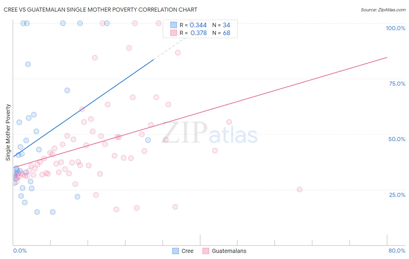 Cree vs Guatemalan Single Mother Poverty
