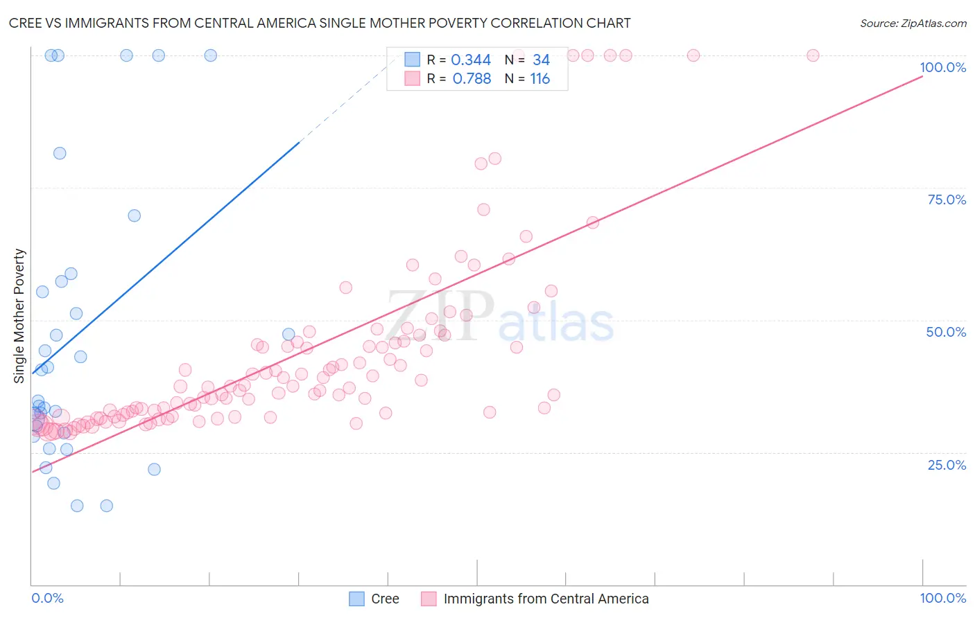 Cree vs Immigrants from Central America Single Mother Poverty