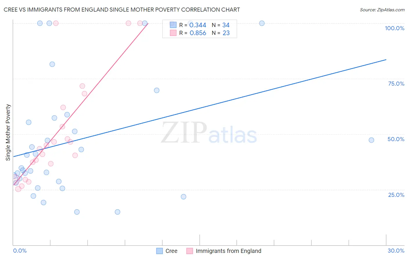 Cree vs Immigrants from England Single Mother Poverty