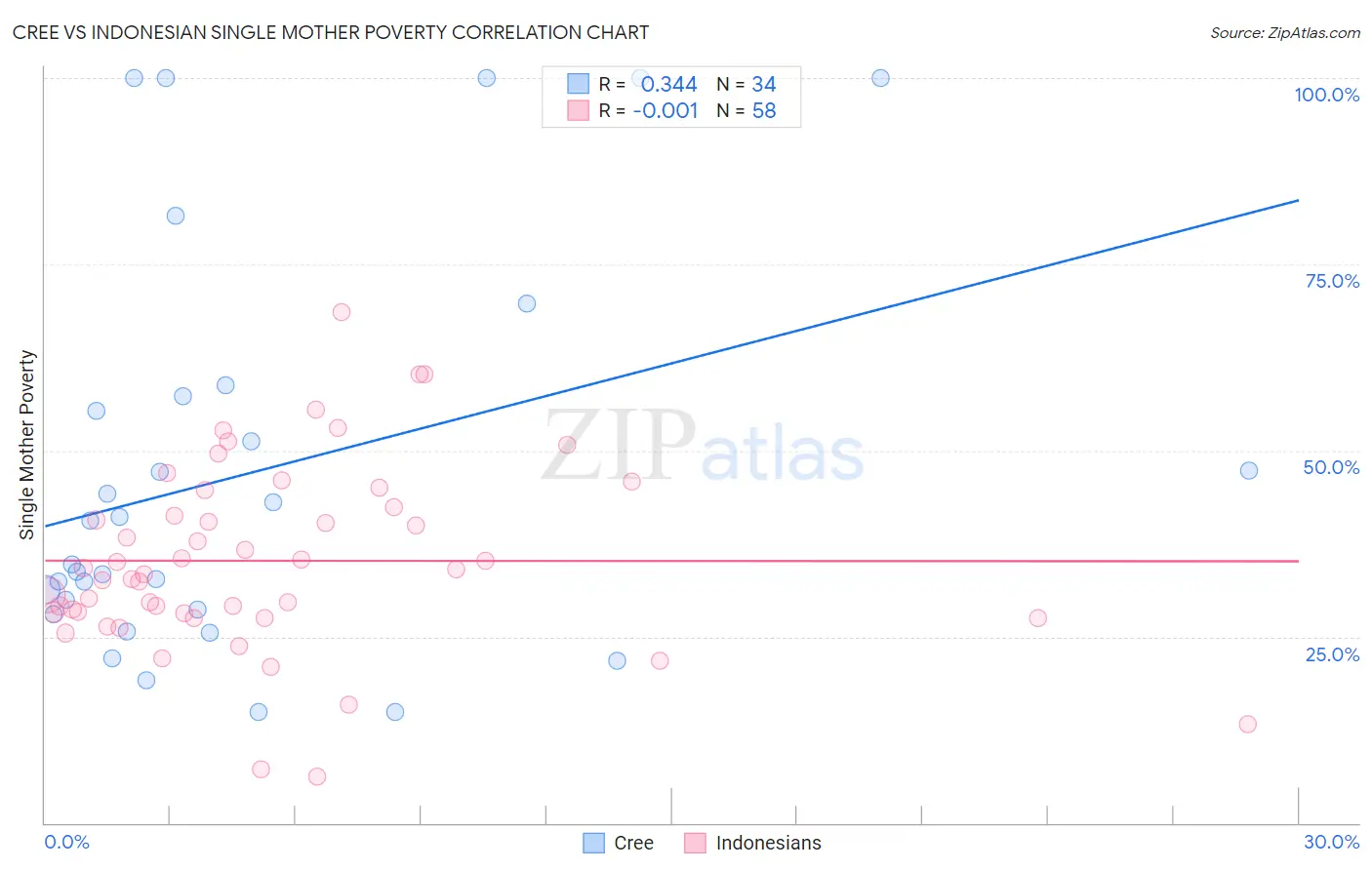 Cree vs Indonesian Single Mother Poverty