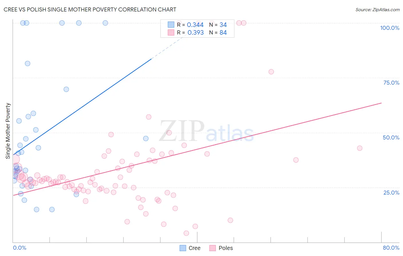 Cree vs Polish Single Mother Poverty