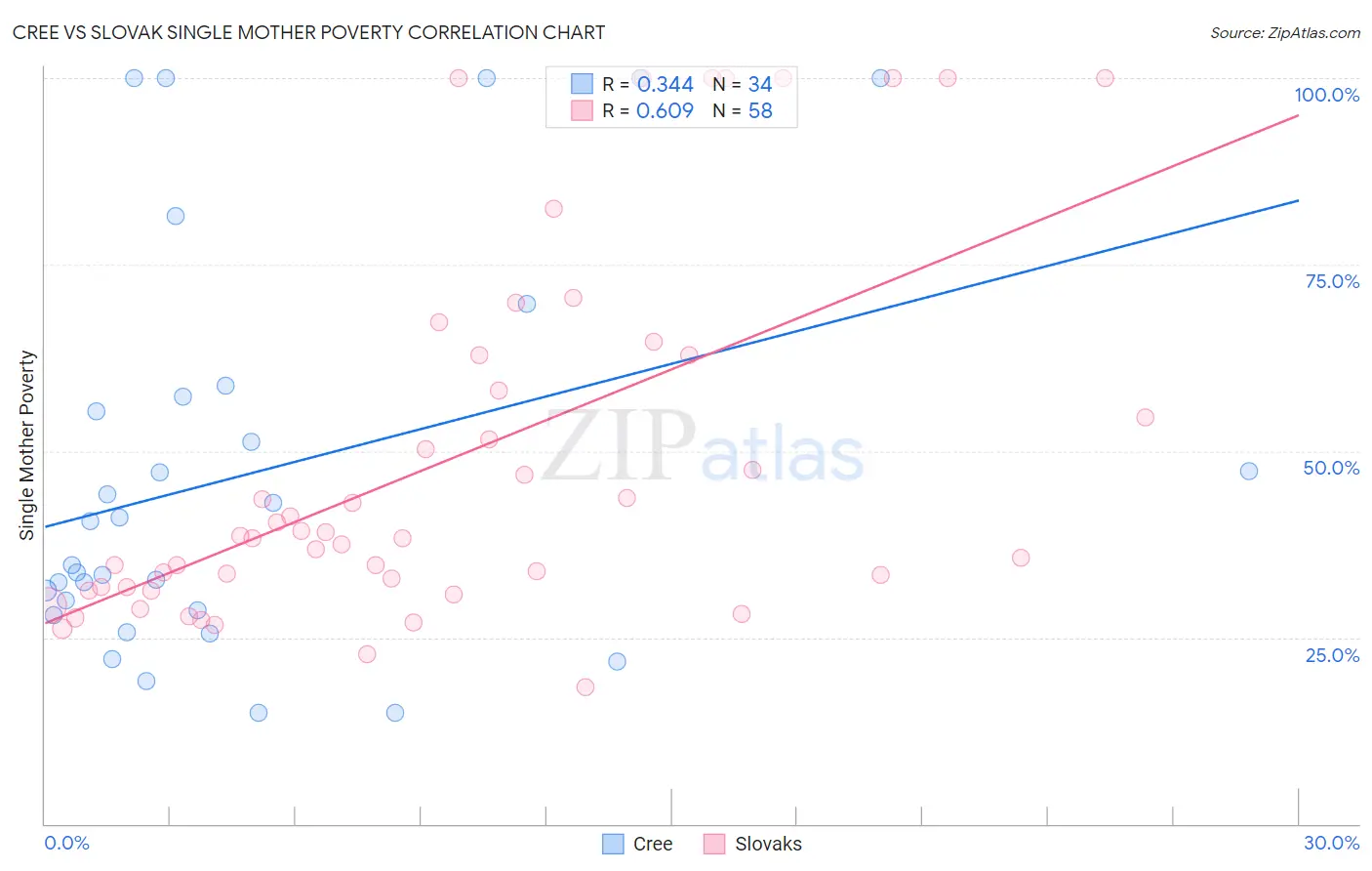 Cree vs Slovak Single Mother Poverty