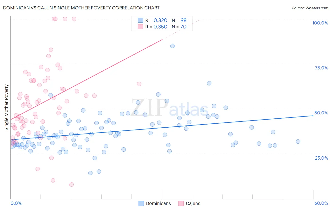 Dominican vs Cajun Single Mother Poverty