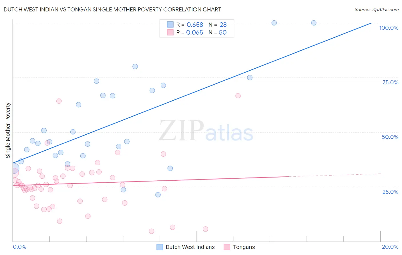 Dutch West Indian vs Tongan Single Mother Poverty