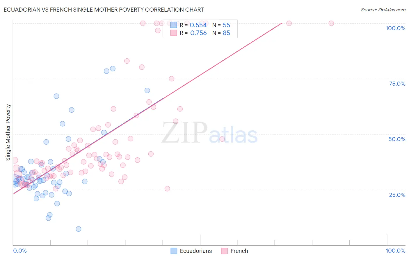 Ecuadorian vs French Single Mother Poverty