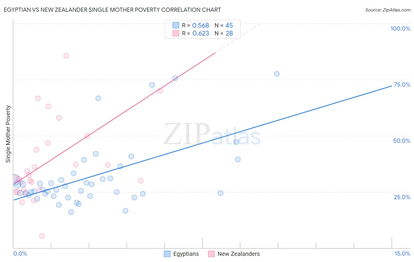Egyptian vs New Zealander Single Mother Poverty