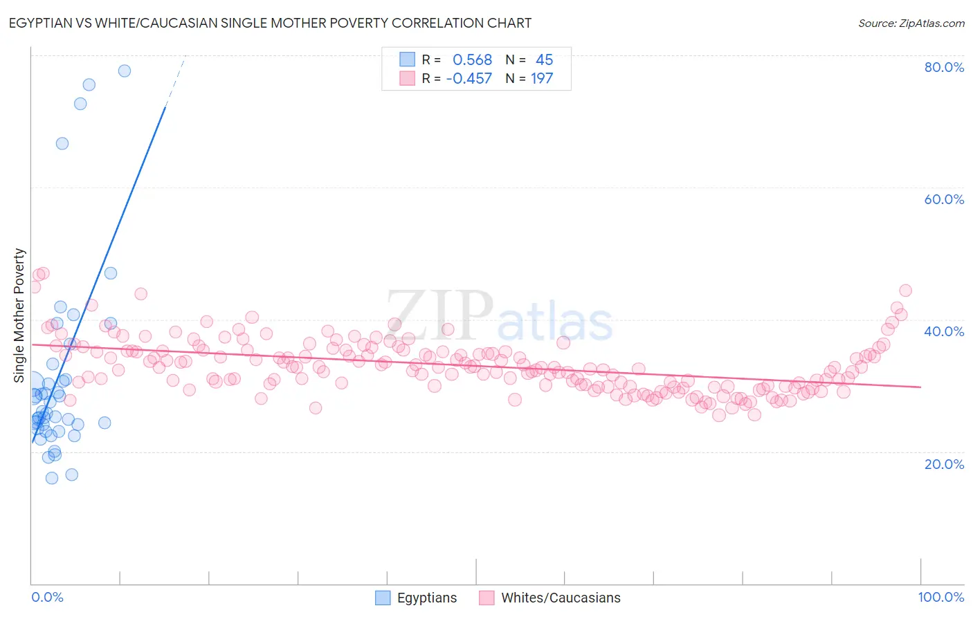 Egyptian vs White/Caucasian Single Mother Poverty