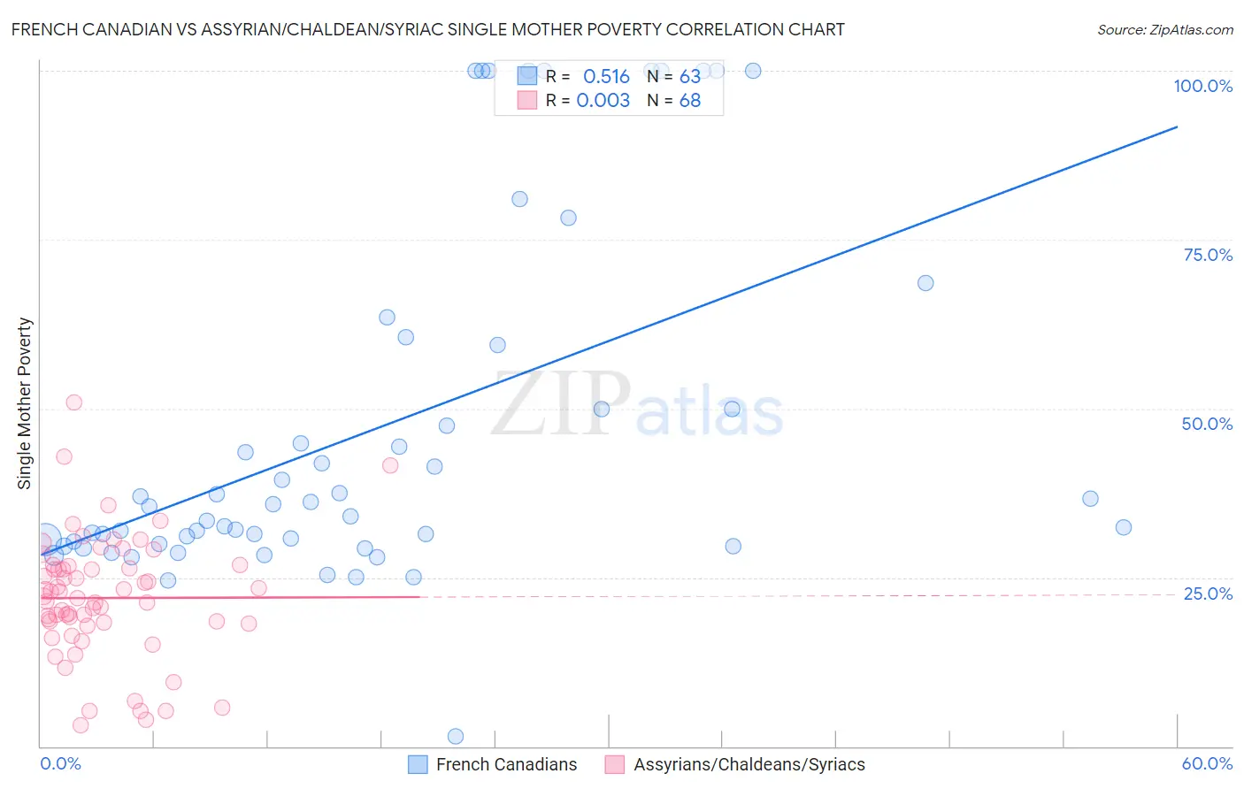 French Canadian vs Assyrian/Chaldean/Syriac Single Mother Poverty