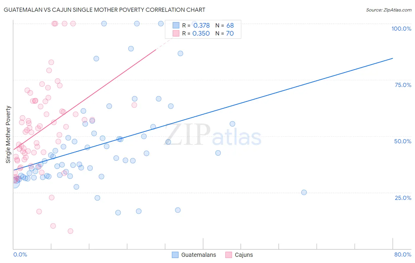 Guatemalan vs Cajun Single Mother Poverty