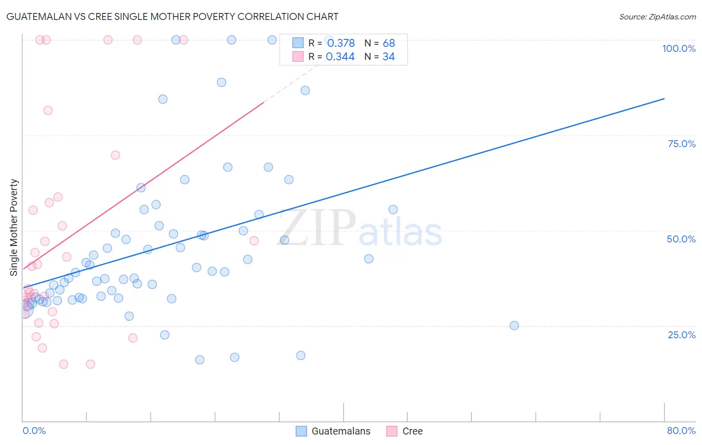 Guatemalan vs Cree Single Mother Poverty
