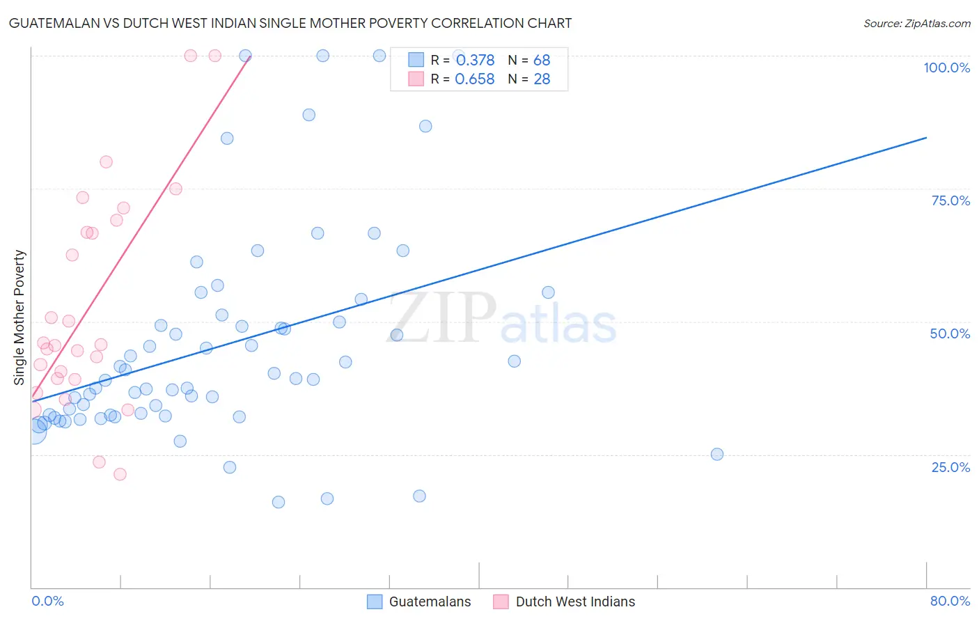 Guatemalan vs Dutch West Indian Single Mother Poverty