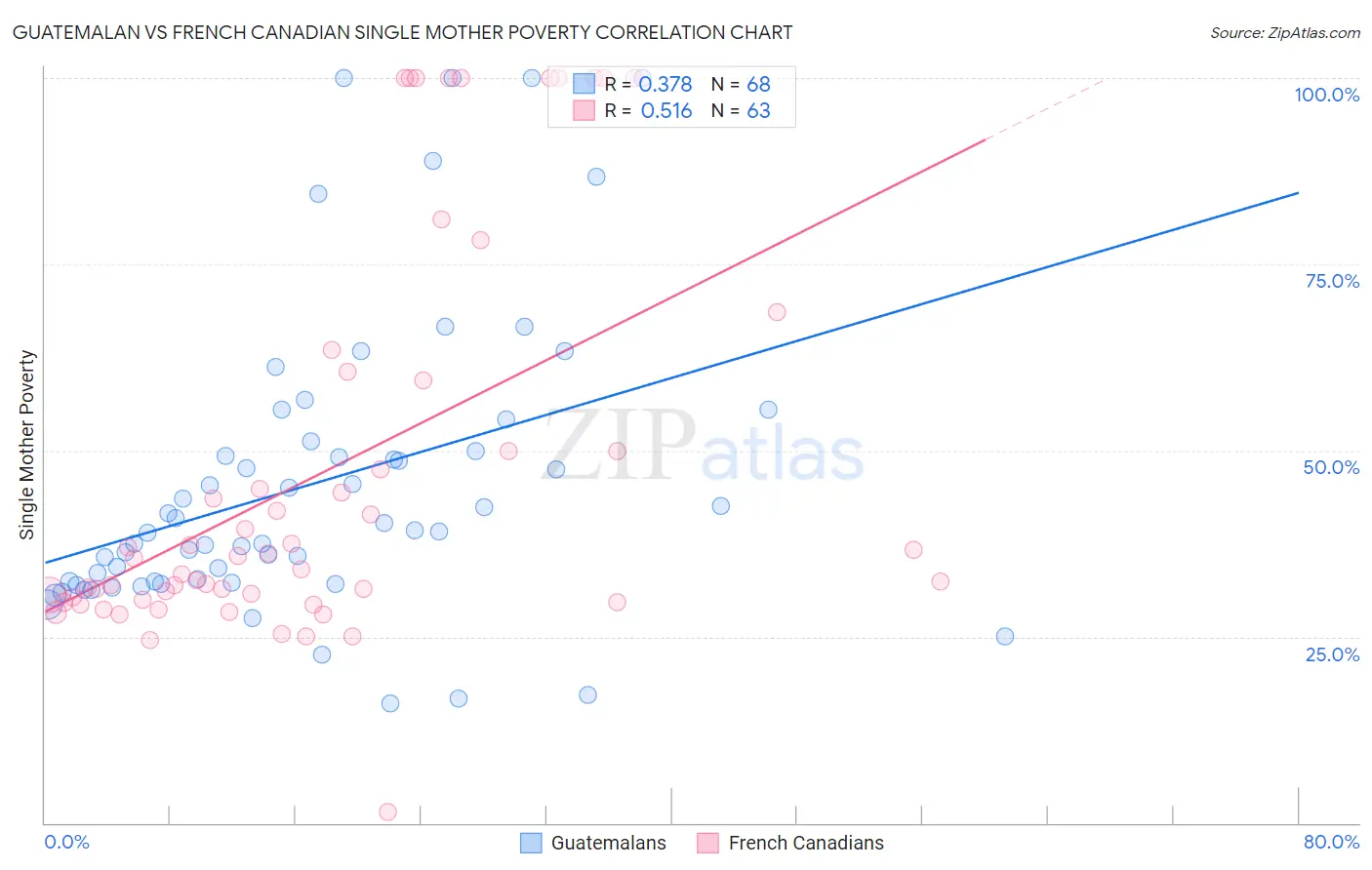 Guatemalan vs French Canadian Single Mother Poverty