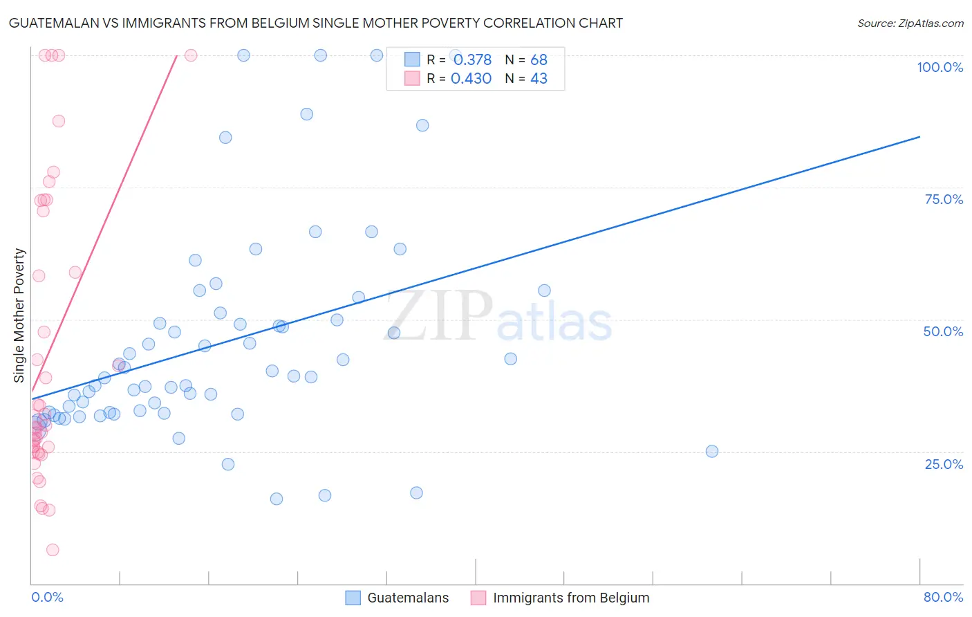 Guatemalan vs Immigrants from Belgium Single Mother Poverty