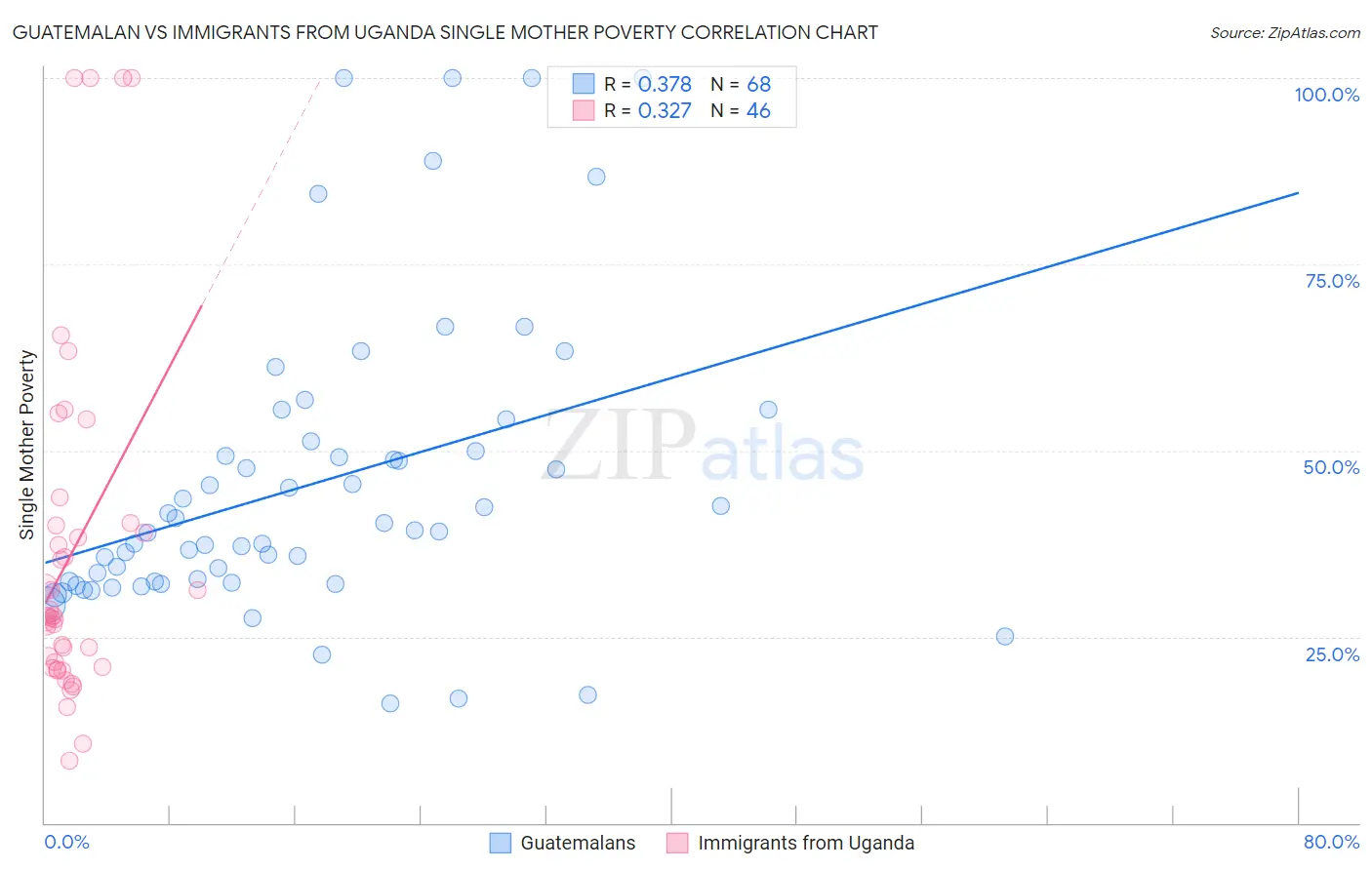 Guatemalan vs Immigrants from Uganda Single Mother Poverty