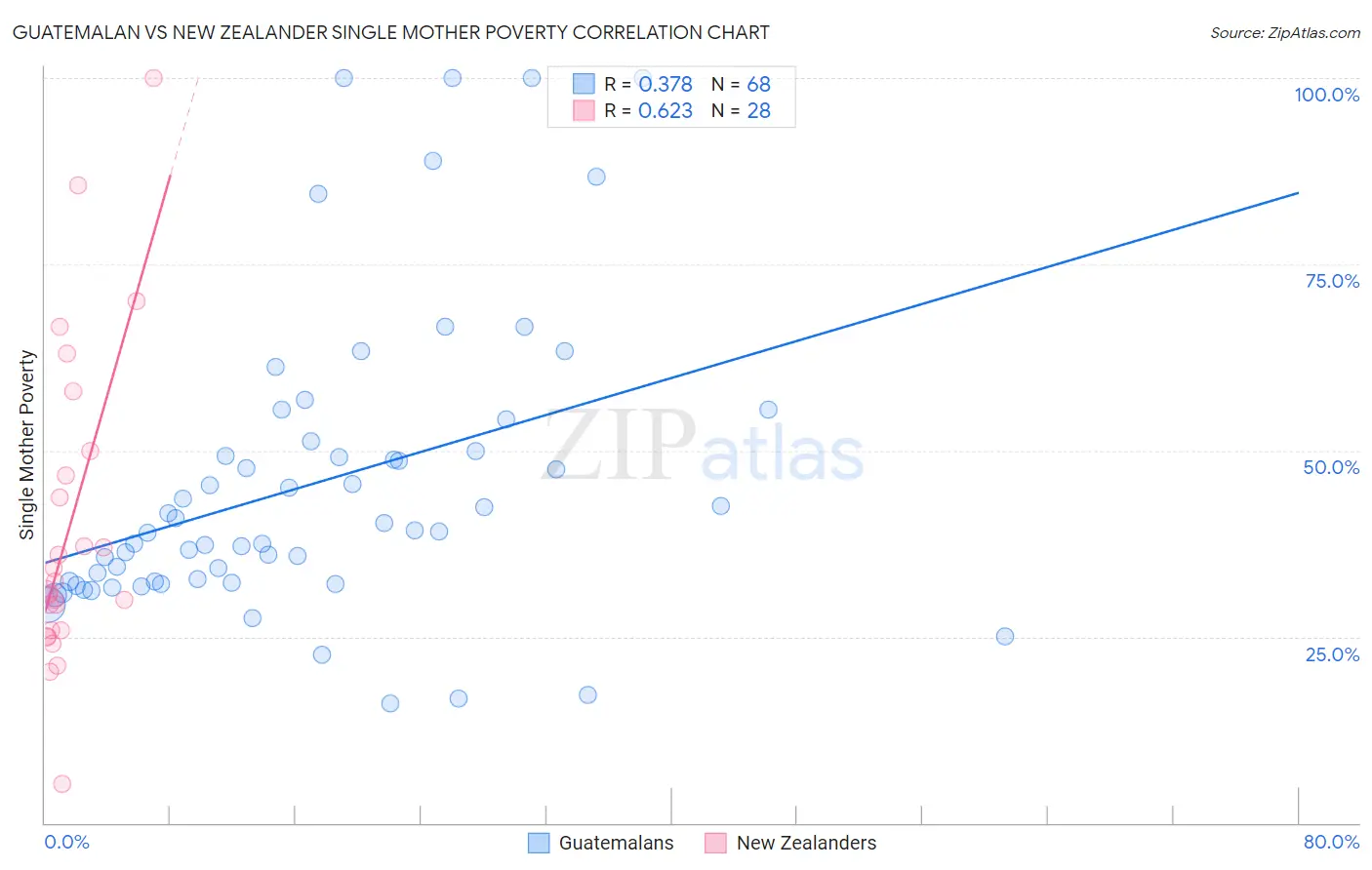 Guatemalan vs New Zealander Single Mother Poverty