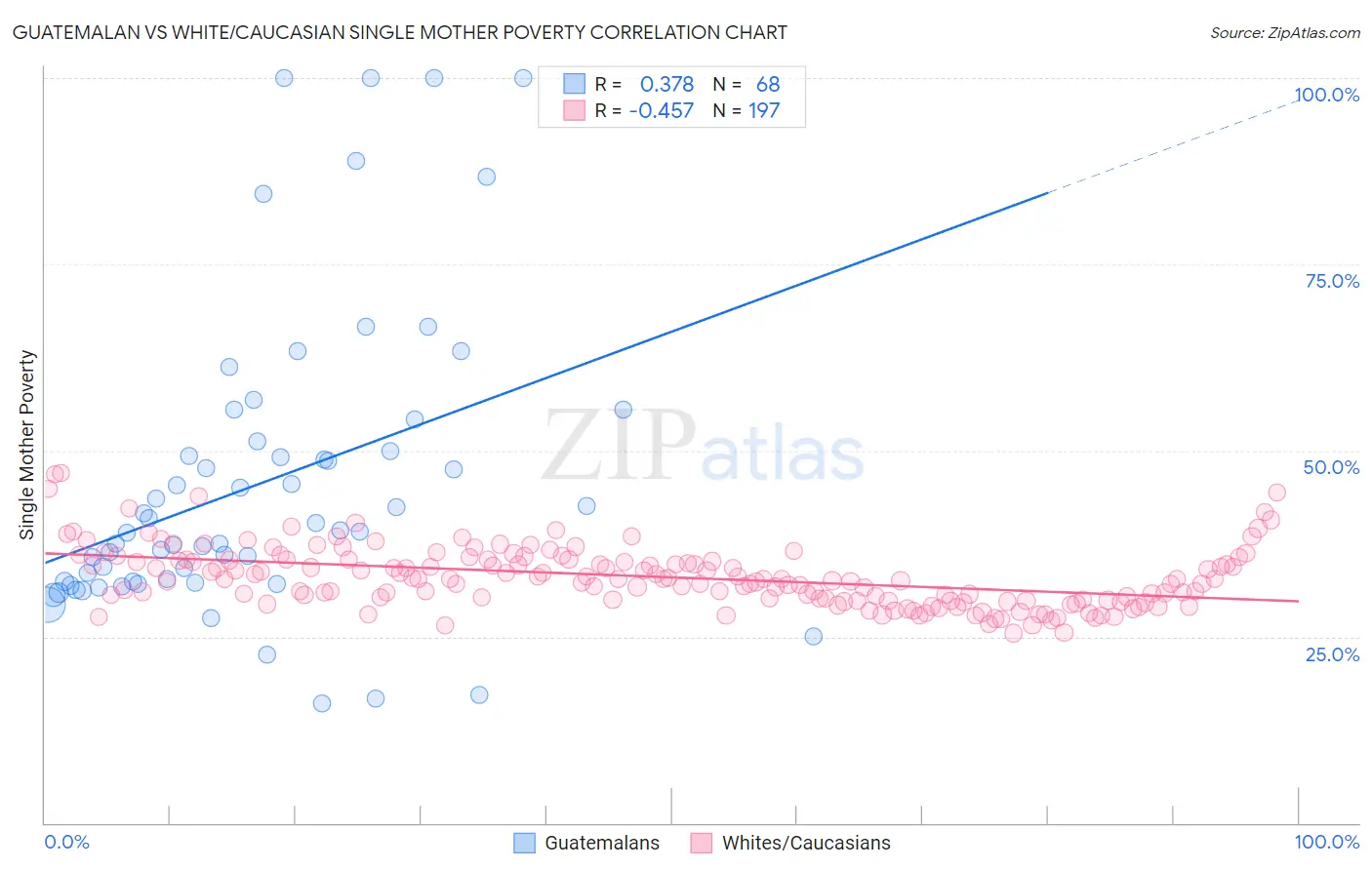 Guatemalan vs White/Caucasian Single Mother Poverty