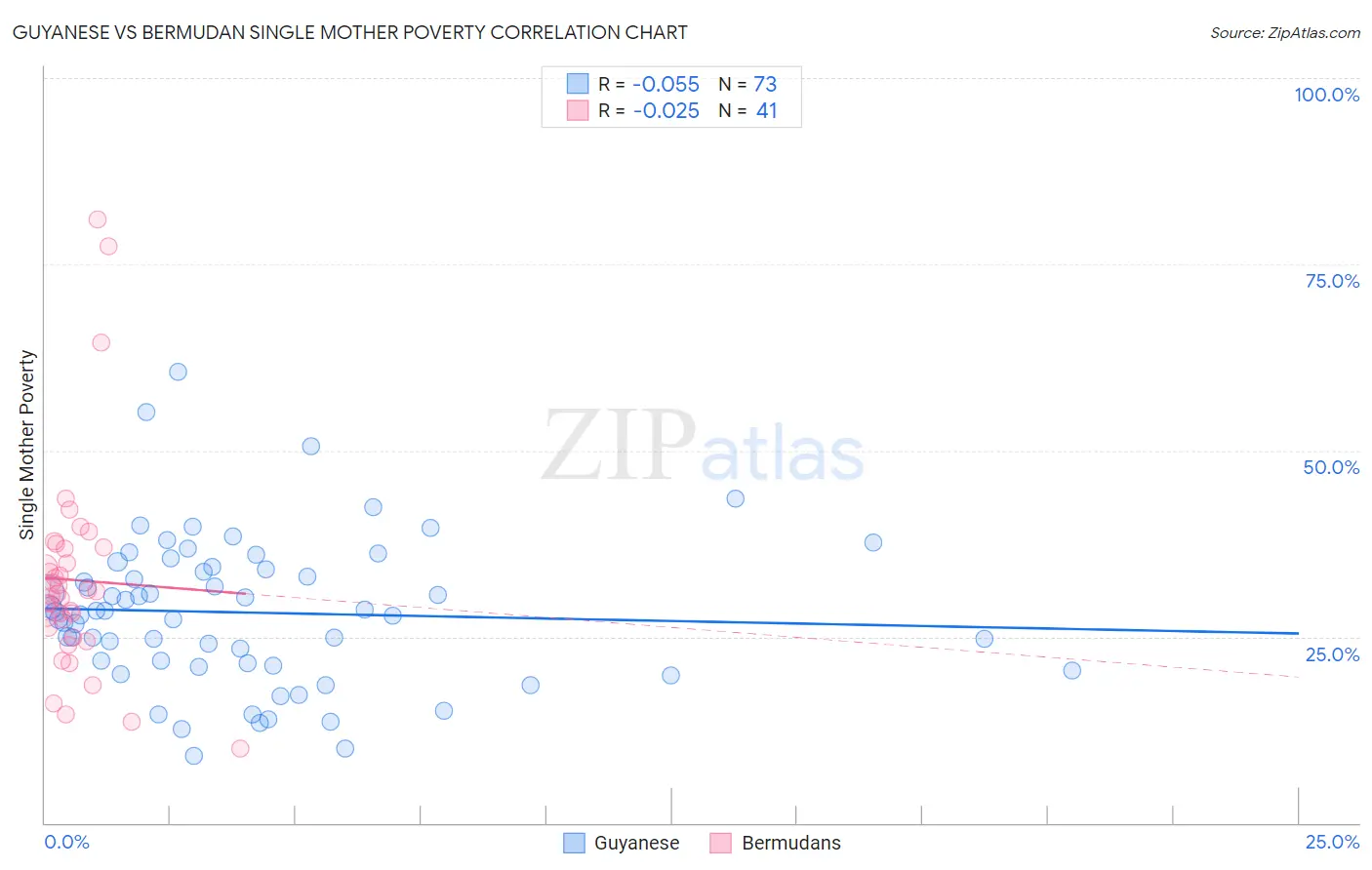 Guyanese vs Bermudan Single Mother Poverty