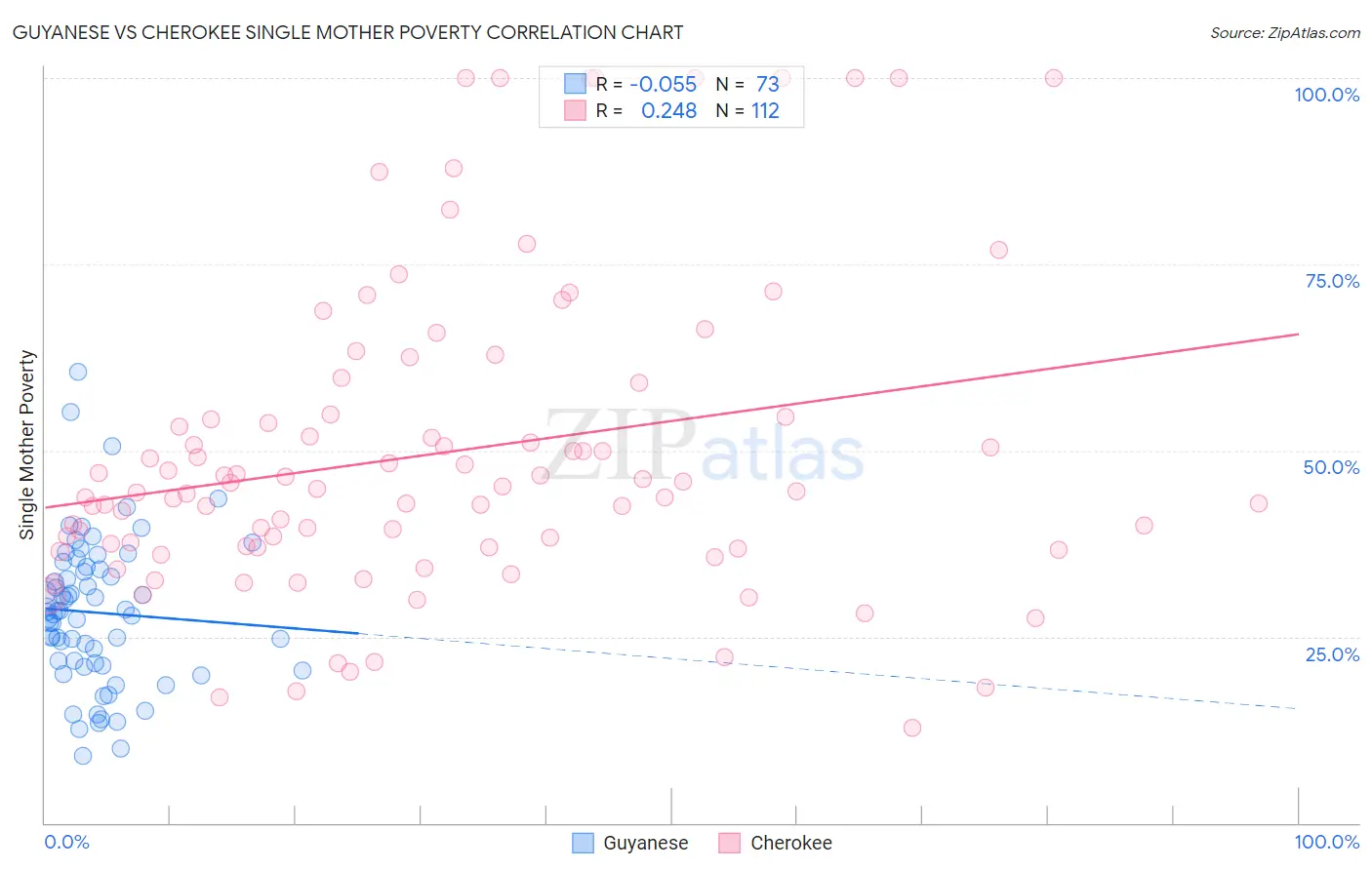 Guyanese vs Cherokee Single Mother Poverty