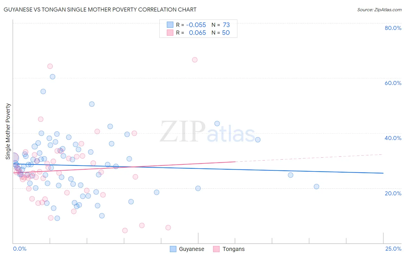 Guyanese vs Tongan Single Mother Poverty