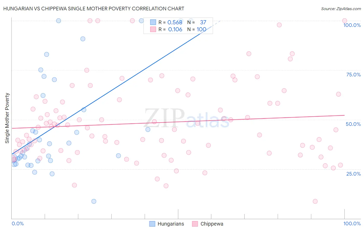 Hungarian vs Chippewa Single Mother Poverty