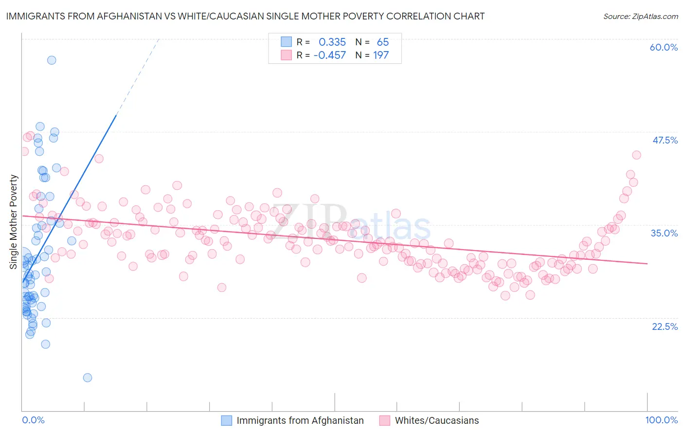 Immigrants from Afghanistan vs White/Caucasian Single Mother Poverty